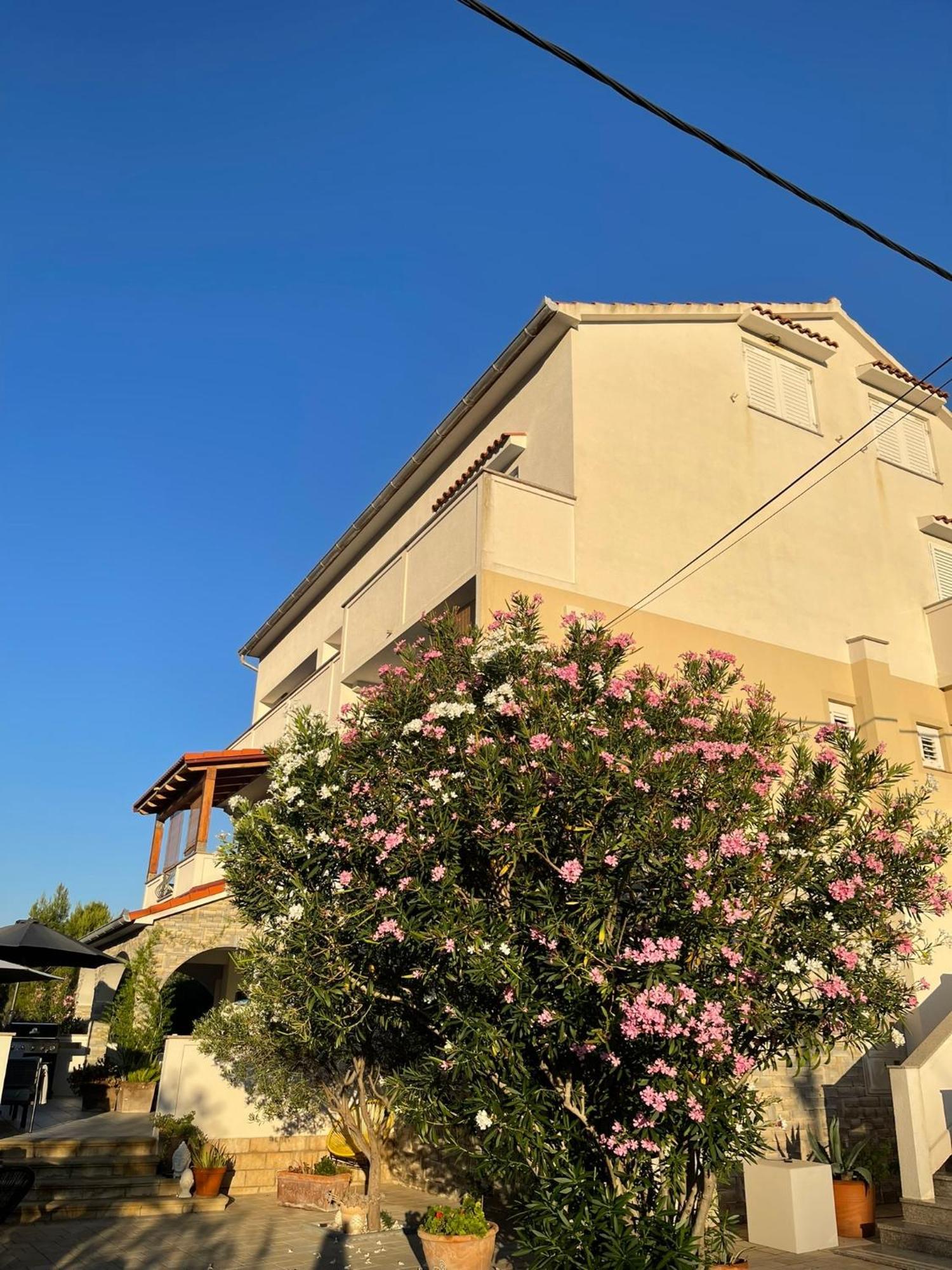 Casa Fumica Rooms Palit 外观 照片